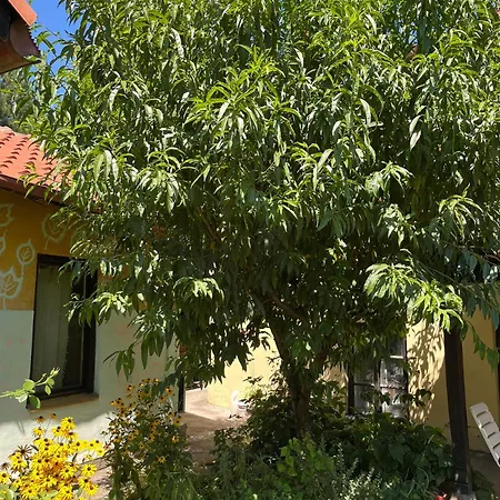 Garickina Kuca 2 Apartman Pirot