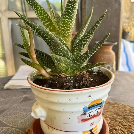 Garickina Kuca 2 * Pirot