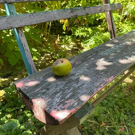 Apartman Garickina Kuca 2 Pirot