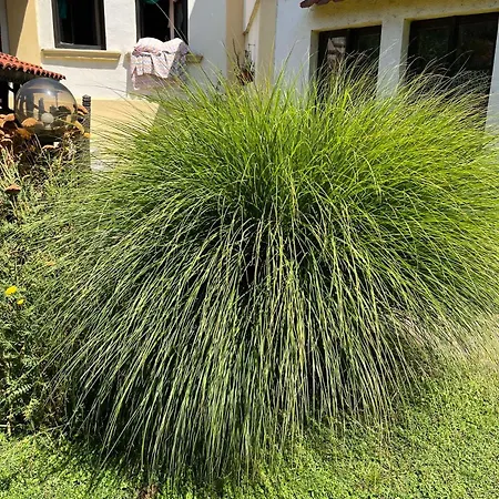 Garickina Kuca 2 Pirot